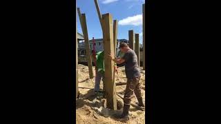 Installing pilings for beach houses Real Estate Development [upl. by Narih343]