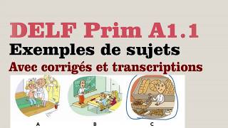 DELF Prim A11  Exemples de sujets  vidéo 04 [upl. by Aisenat]