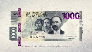 Billete de 1000 pesos de la familia G  Revolución Mexicana [upl. by Nyleve589]