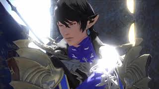 Whenever Aymeric Looks In My General Direction FFXIV [upl. by Lebasiram639]