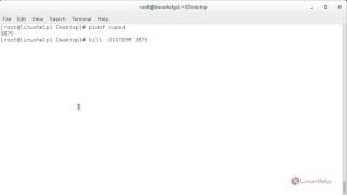 How to use Kill Pkill and Killall to Terminate a Process in Linux [upl. by Nonohcle]