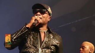 Koffi Olomide performs Effrakata Live at The Koroga Festival [upl. by Yhtomot]