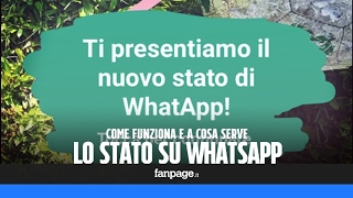 Disponibili gli Stati WhatsApp a cosa servono e come si usano le quotstoriequot nellapp per messaggi [upl. by Zakarias]