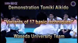 DEMONSTRATION TOMIKI AIKIDO Variants of 17 BASIC tehniques Waseda University Team [upl. by Winnah]