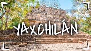 YAXCHILÁN en CHIAPAS 🔴Cómo llegar cuánto cuesta qué hay ► CIUDAD MAYA EN LA SELVA [upl. by Acnaib]