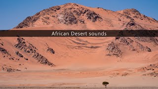 African Desert sound effects library [upl. by Nosyla]