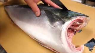 How To Fillet a Whole Hamachi  How To Make Sushi Series [upl. by Limbert]