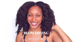 How To Professional Blow Dry With No Frizz  Salon Secrets and Techniques [upl. by Tedda]