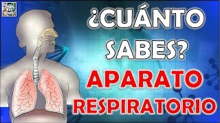 ¿Cuánto Sabes Sobre el quotAPARATO RESPIRATORIOquot TestTrivialQuiz [upl. by Preston]