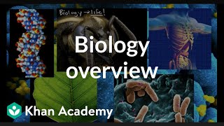 Biology overview [upl. by Sarina]