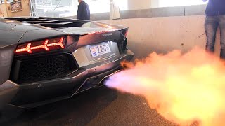 The BEST LAMBORGHINI AVENTADOR Engine SOUNDS Ever [upl. by Vivienne]