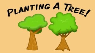 Planting A Tree fingerplay song for children [upl. by Moncear140]