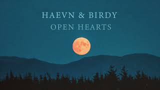 HAEVN amp Birdy  Open Hearts [upl. by Karyl]