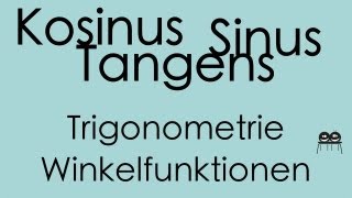 Winkelfunktionen  Trigonometrie [upl. by Kerns]