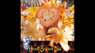 Nirvana  Heart Shaped Box [upl. by Weisburgh]