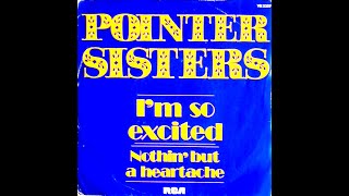 Pointer Sisters  Im So Excited 1983 Disco Purrfection Version [upl. by Yeaton]