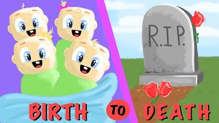 BIRTH to DEATH of Quadruplets  Roblox Brookhaven RP [upl. by Sophi649]