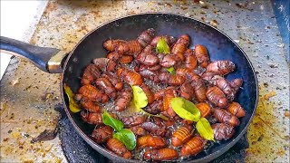 Amazing food  Fried Cockchafer Bug  Awesome Thai Food Recipes   Asian food [upl. by Behrens479]