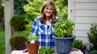 How to Prune Basil [upl. by Elah990]