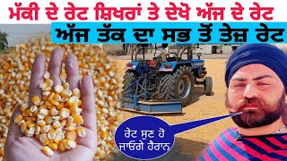 maize price todaymakki da rateਮੱਕੀ ਦੇ ਰੇਟ ਸ਼ਿਖਰਾਂ ਤੇ ਦੇਖੋ ਤਾਜ਼ਾ ਰੇਟmaize price in Punjab [upl. by Ecyor]