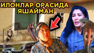 УЙИМДА 4 МEТРЛИ БЎҒМА ИЛОН БОР ИЛОНЛАР ЧАҚИШИДАН ҚЎРҚИБ ЯШАЙМАН [upl. by Manara]