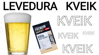 Cerveja feita em temperatura ambiente com levedura kveik [upl. by Benjie]