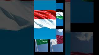 JJ NEGARA BER 4 INDONESIA 🇮🇩 PALESTINA 🇵🇸 SAUDI ARABIA 🇸🇦 QATAR 🇶🇦 likenegarasubscribe fypシ゚ [upl. by Crandall]