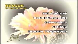 Flores de Bach Rescue Remedy [upl. by Nyladnar]