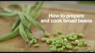 How To Cook Broad Beans  Good Housekeeping UK [upl. by Eyatnod498]