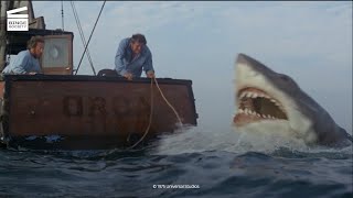 Jaws 2 Brody to the rescue HD CLIP [upl. by Alan33]