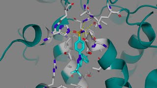 Celecoxib Celebrex and other COX2 Selective Inhibitors [upl. by Willmert224]