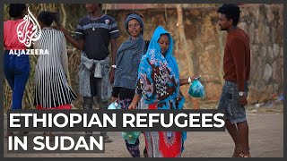 Sudan struggles to shelter influx of Ethiopian refugees [upl. by Enimzzaj842]