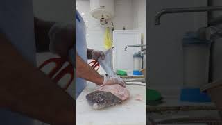 amazing flat fish cuttingskill [upl. by Row101]