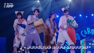 Hey Say JUMP  ペットショップラブモーション Official Live Video 知念 中島 髙木 伊野尾 [upl. by Saimerej536]