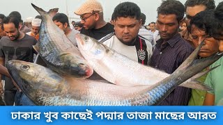 ঢাকার খুব কাছেই পদ্মার তাজা মাছের আড়ত। Today fish market in Bangladesh [upl. by Pappas437]