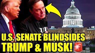 🚨SENATE Drops Monday Night BOMBSHELL on Trump amp Musk [upl. by Nelhsa]