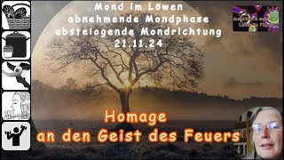 MondART  Eine Homage an den Geist des Feuers [upl. by Aeila]