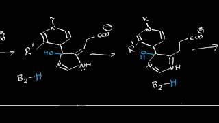 Biochemistry  Urocanate Hydratase Mechanism [upl. by Hajidahk917]