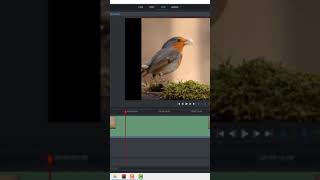 Lightworks Tutorial How to Crop Video in Lightworks [upl. by Imelida]