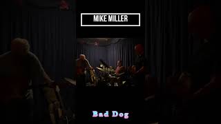 Mike Miller  Bad Dog [upl. by Tehcac54]