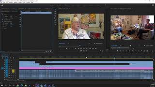 EASY Remove High Pitch Frequency or Feedback in Premiere Pro CC 2021 [upl. by Lem]