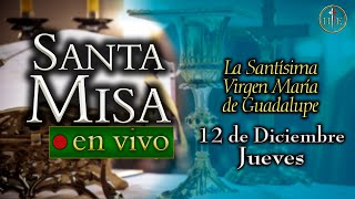 Santa Misa ⛪ Jueves 12 de diciembre 730 am⚜️ Heraldos del Evangelio [upl. by Nosiddam]