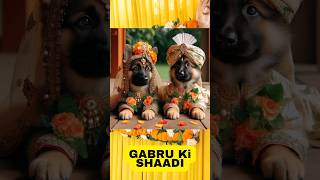 Gabru Ki Shaadi  Adorable Puppy Wedding  Abrars Entry shorts viral [upl. by Sherrard]