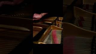 String Broke During Liszt Mazeppa live [upl. by Rosalind]