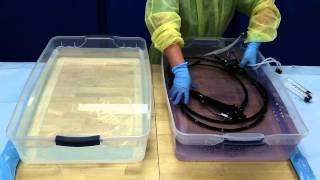 Flexible Endoscope Reprocessing  Disinfection [upl. by Leahcin]