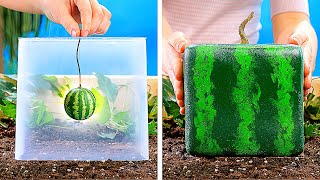 21 AMAZING PLANTS IDEAS  DIY Gardening Tricks You Should Know [upl. by Rab]