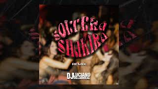 Soltera Remix  DJ Luciano Villarreal Shakira [upl. by Cailly]