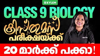 Class 9 Biology  ക്രിസ്മസ് പരീക്ഷയ്ക്കു 20 മാർക്ക് പക്കാ  Xylem Class 9 [upl. by Noryd245]