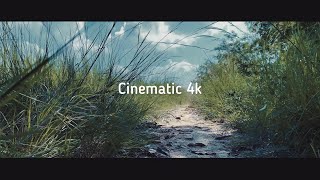 iPhone 13 Cinematic 4k 60fps Camera Test [upl. by Faux311]