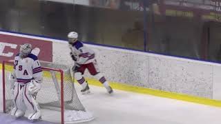 2019 Hlinka Gretzky Cup Highlights  SWE 5 USA 4 [upl. by Nnayrb]